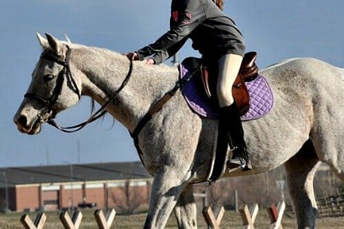 Breeches for what to wear horseback riding