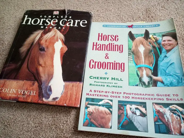 10 Must Read Horse Books For Getting Started As An Equestrian