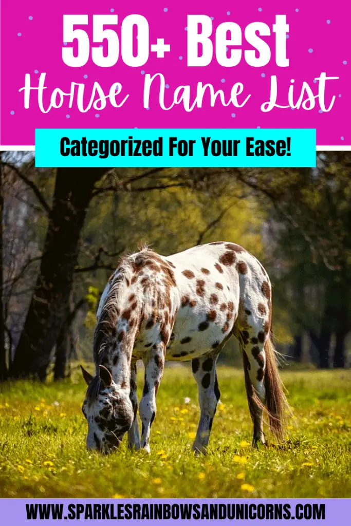 557 Best Horse Names Of 2021 By Color, Personality, Famous, Historical & More Joyful