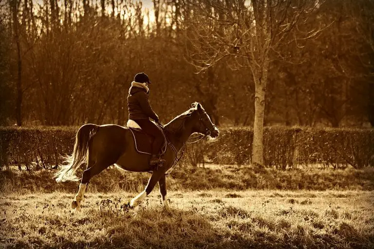 Can You Ride A Horse On Your Period? The Low Down On Periods And Horse