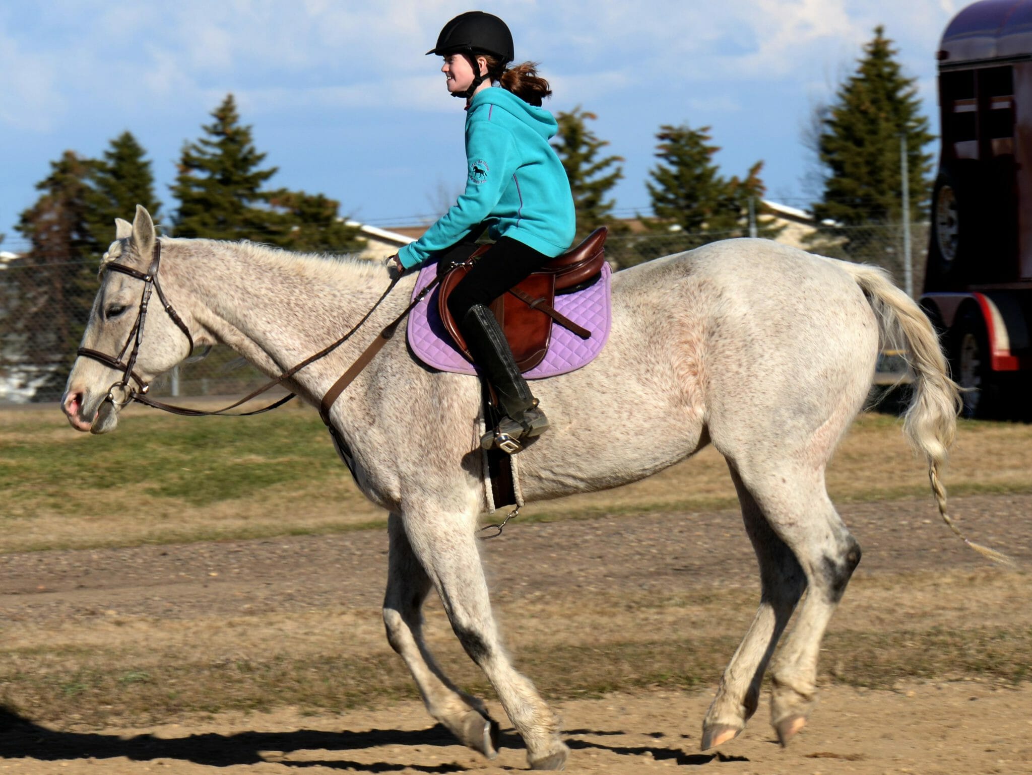 How To Effectively Ask Your Horse To Canter