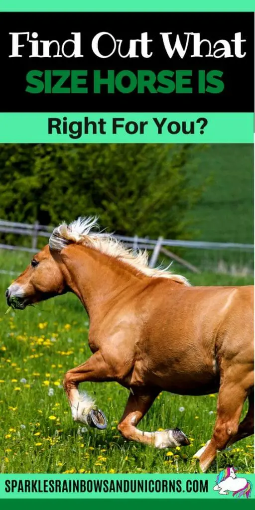 What Is The Right Horse Size For You? Guide To Find Your Ideal Horse Size Joyful Equestrian