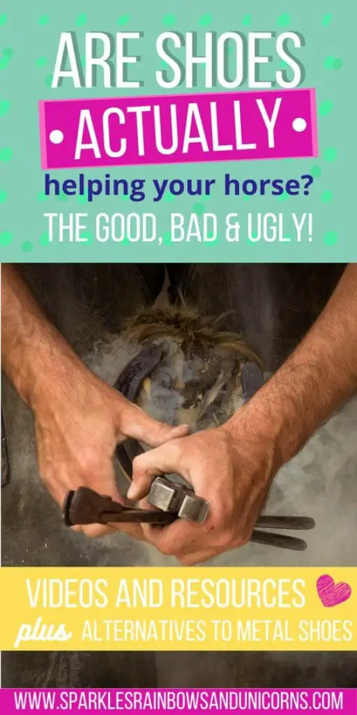 Do Horses Need To Wear Shoes? (Videos & Resources) Joyful Equestrian