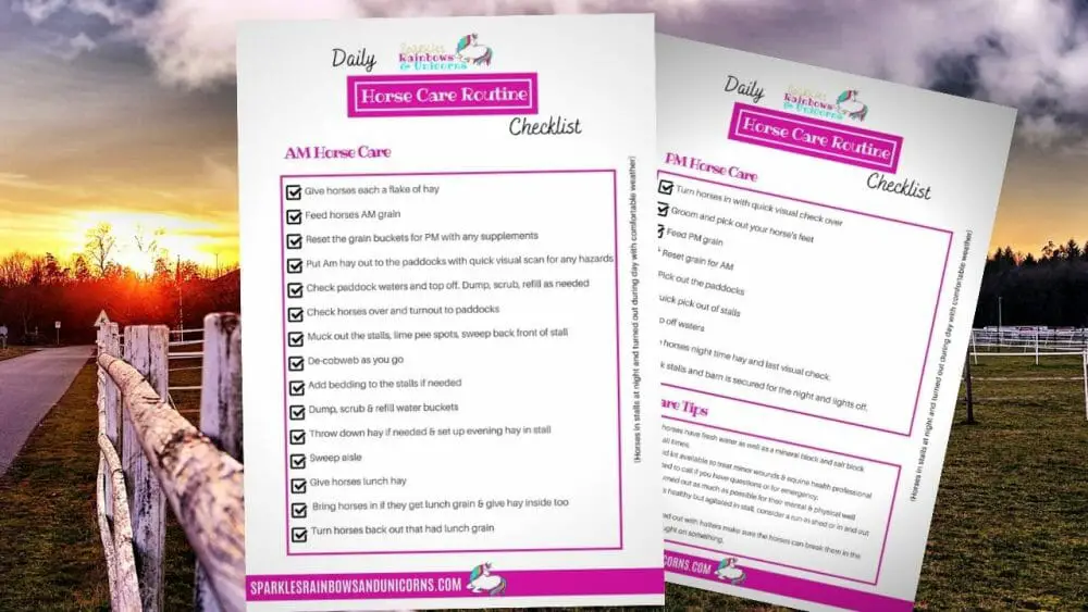 Daily Horse Care List For A Happy Healthy Horse Free Printable Checklist