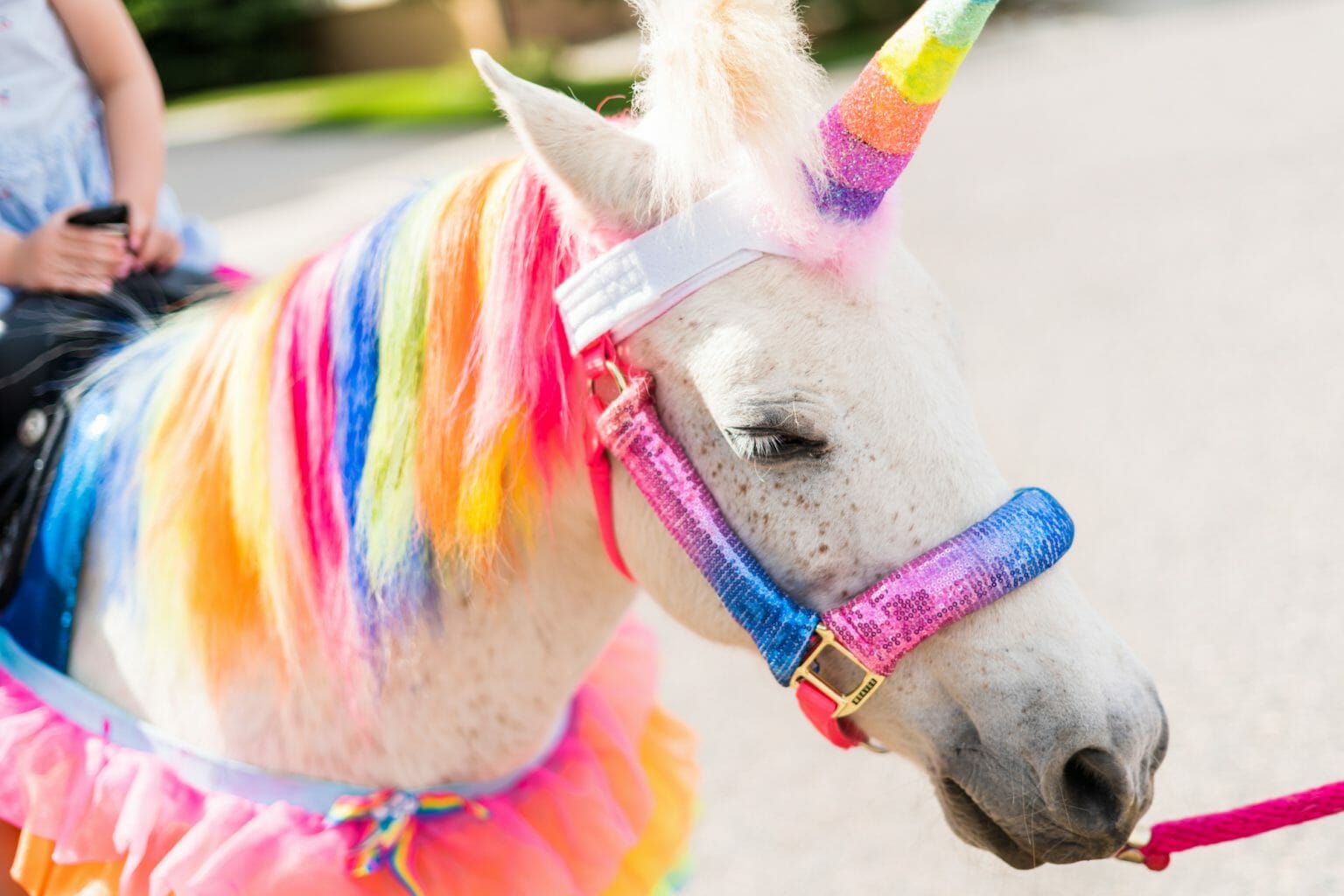 Safe Horse Paint For Painting On Horses & Tips For Painting Your Horse