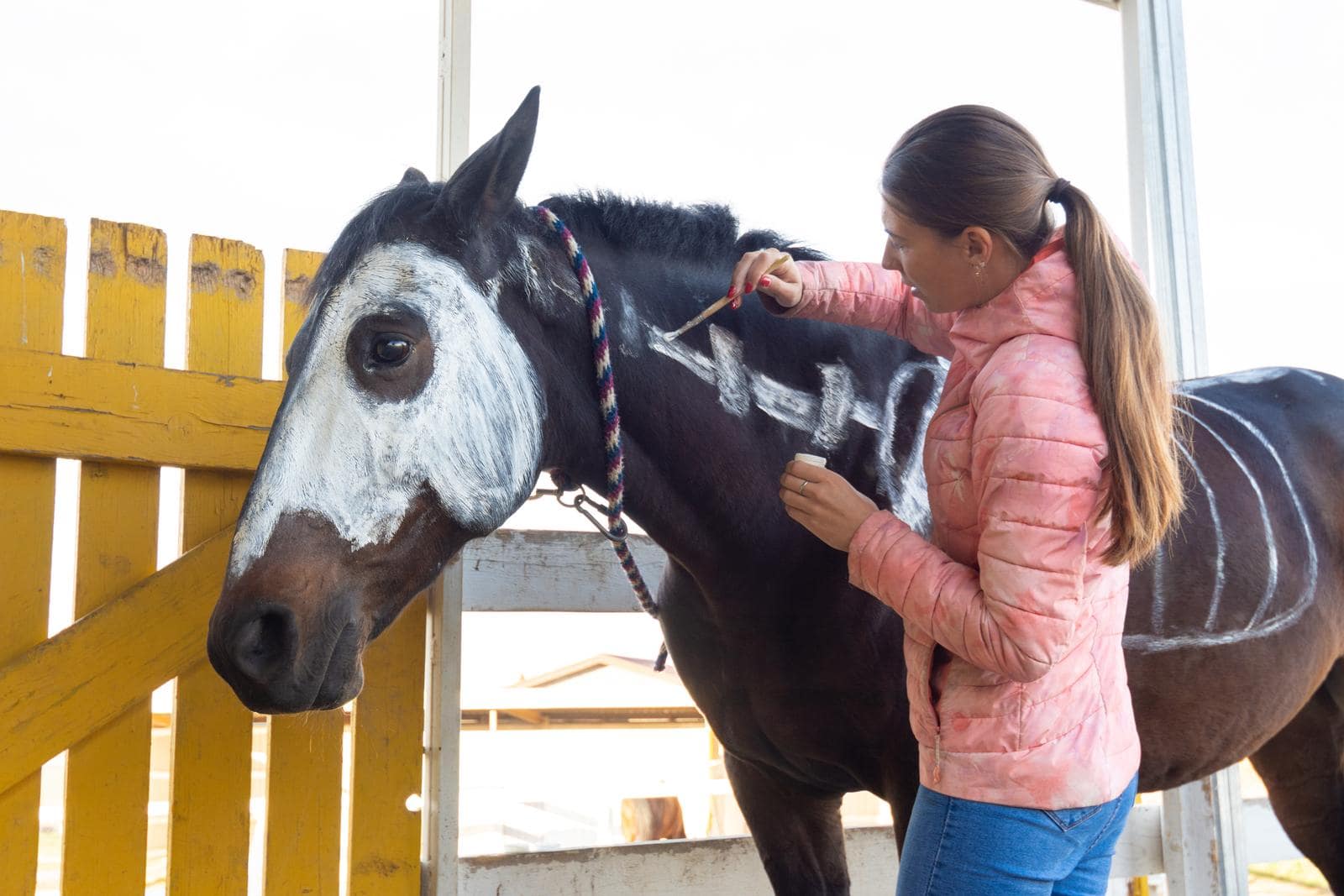 horse safe paint