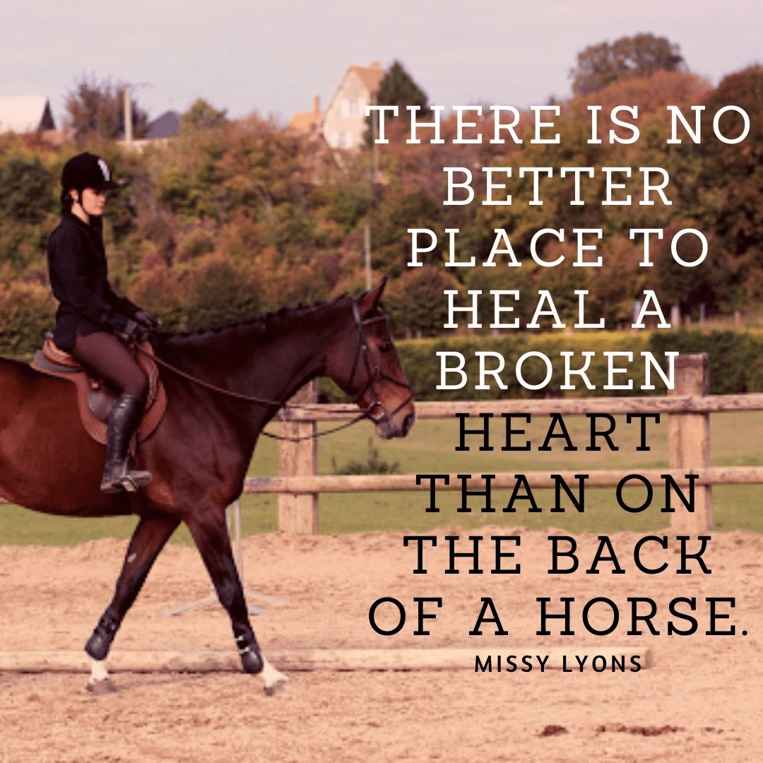 100 Inspirational Quotes with Horse Pictures To Lift You Up