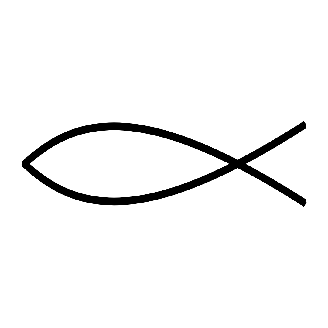 Horse Genders Explained (14 Common Horse Gender & Age Related Terms