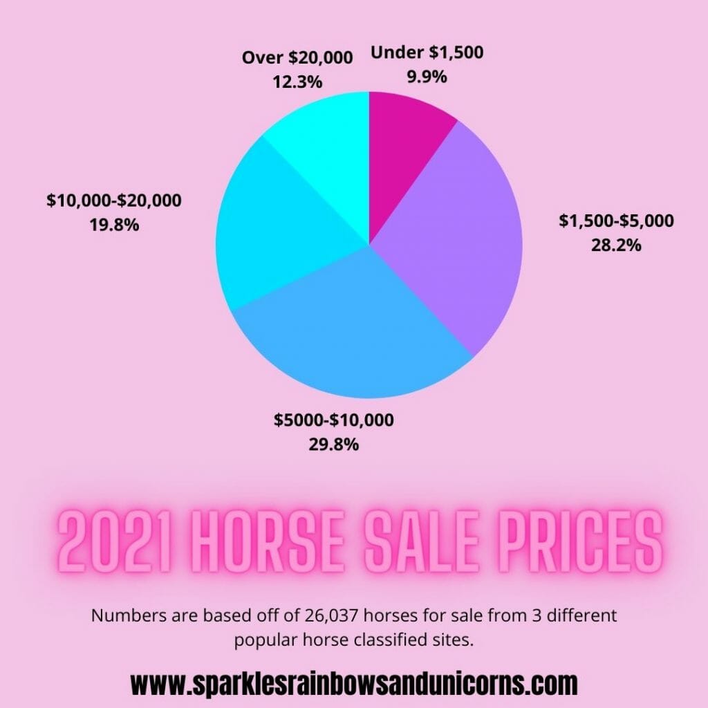 How Much Does It Cost To Buy A Horse? 2021 (Charts With Price Ranges)