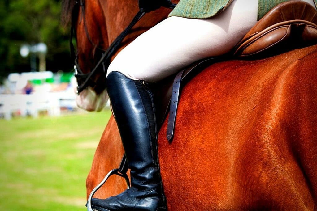 Equestrian Breeches Buyer’s Guide For Schooling and Show
