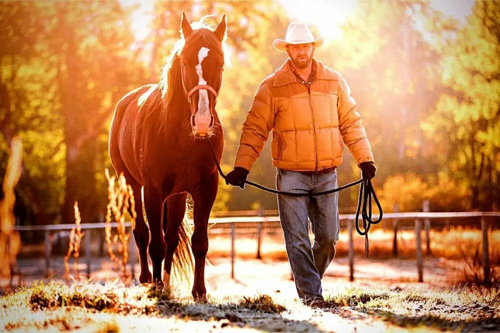 Horse Colic Signs, Causes & How You Can Prevent Colic In Horses! Must