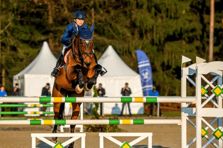 Hunter Vs Jumper Vs Equitation Understand The Difference