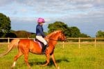 How To Tell You're On The Correct Posting Diagonal At The Trot