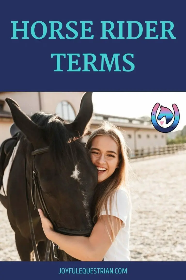What Is A Horse Rider Called? (Proper Terms For Horse Riders)