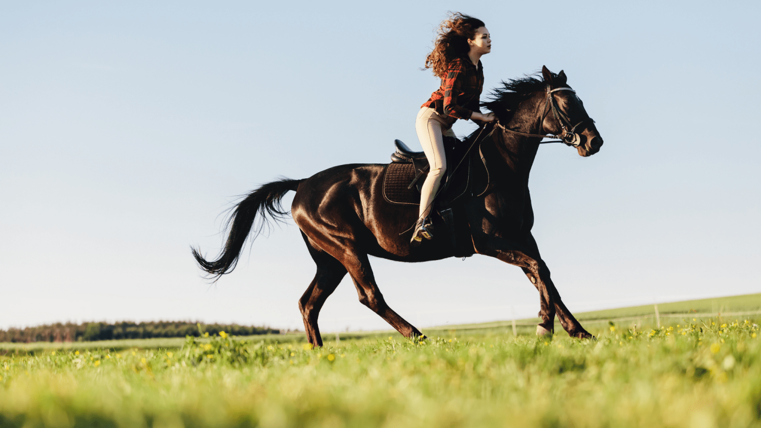 10 Helpful Tips To Keep Your Stirrups In The Canter