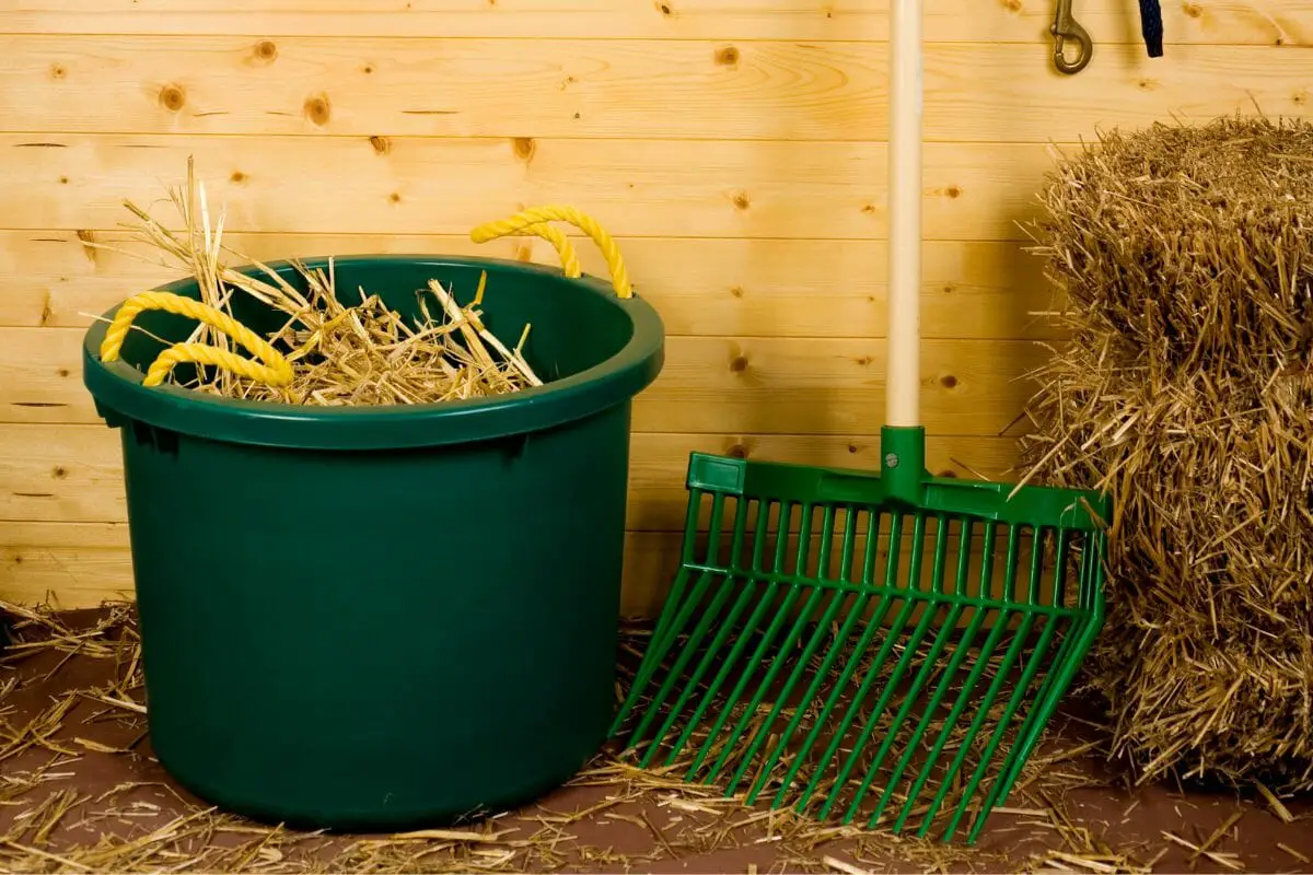 Ultimate Horse Buying Checklist 17 Steps When You're Buying Your First