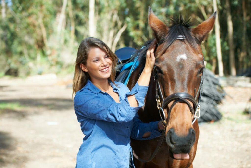 buying a horse: your complete checklist