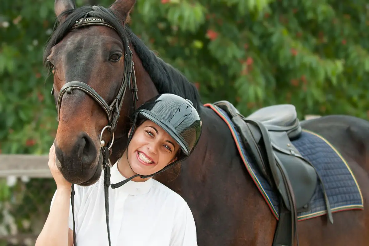 Mahogany Bay Horse