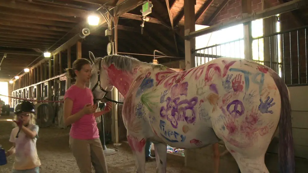 girls painting on grey horse with safe horse paint

