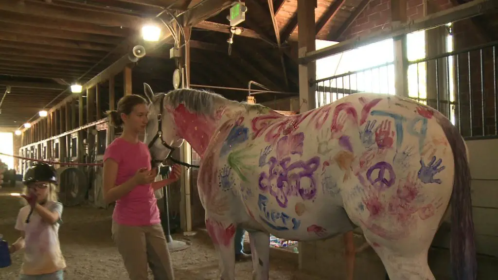 girls painting on grey horse with safe horse paint