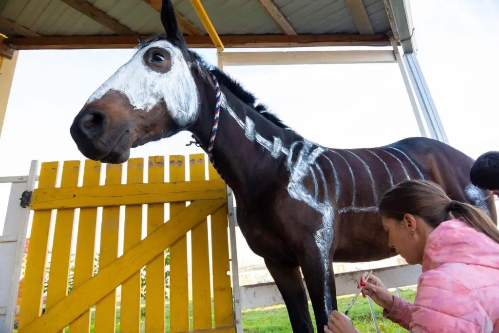 Painting skeleton on horse