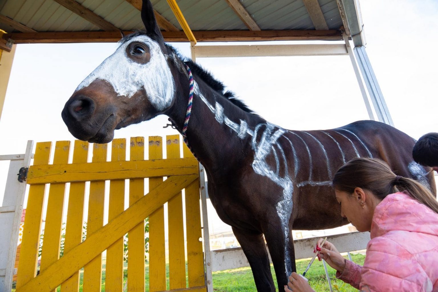 Safe Horse Paints & Tips For Painting Horse Costume Ideas