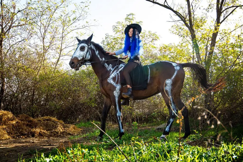 riding a horse in Halloween costume