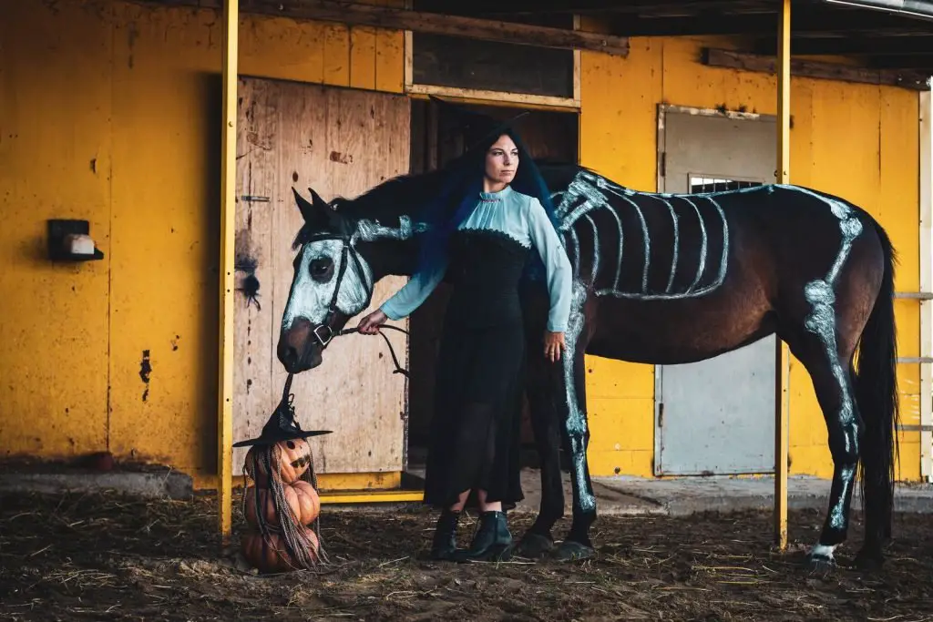 white paint on dark horse