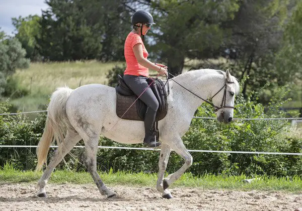 adult learning to horse ride