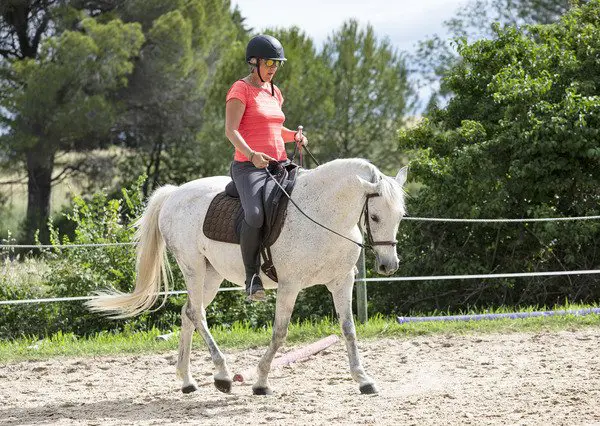 adult horseback riding
