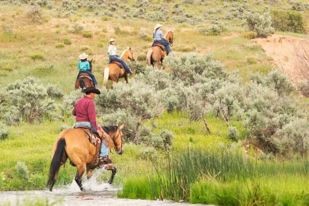 cowboy and cowgirls
