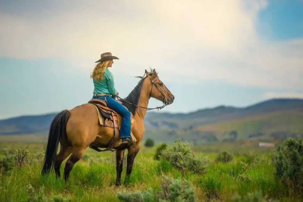 cowgirl
