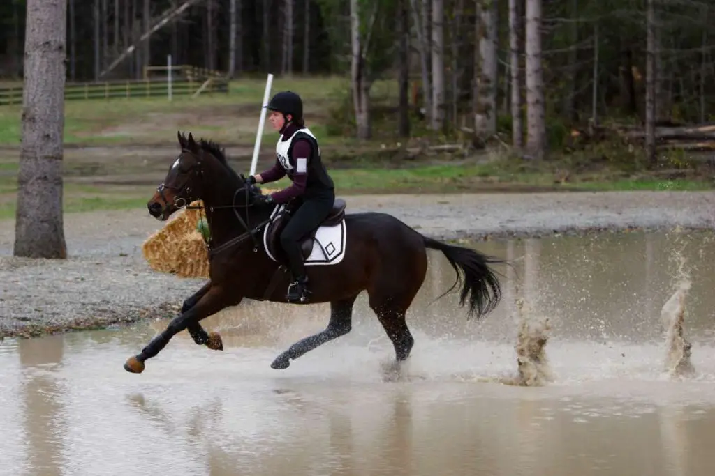 event rider or eventer
