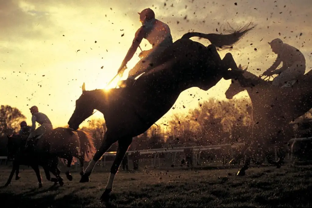 steeplechasing