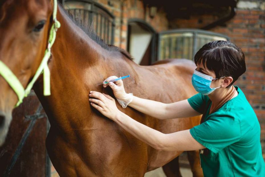 5 way horse vaccine