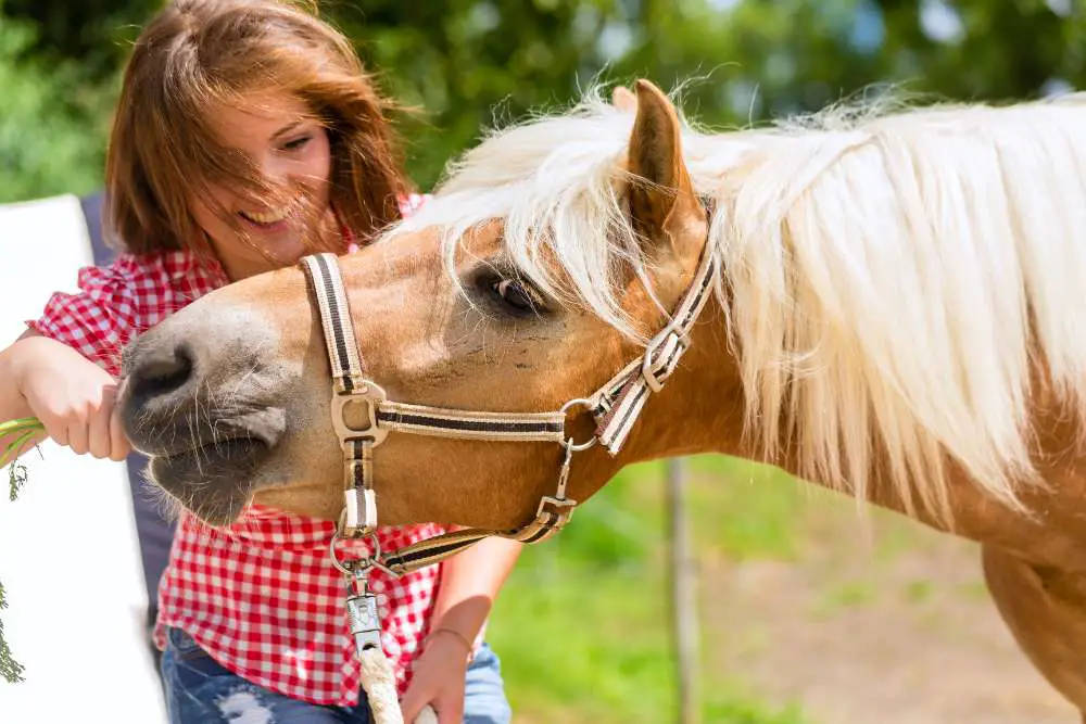 Can horses eat celery