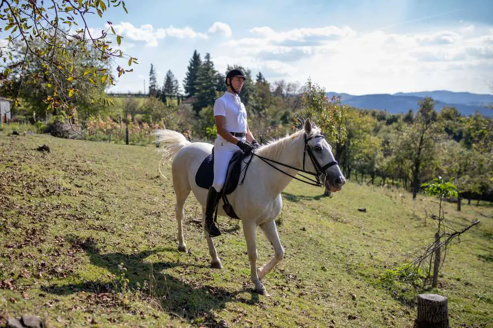 rider too tall for horse
