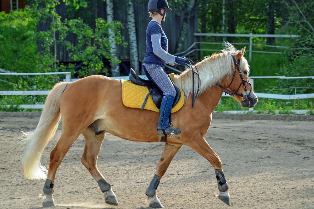 rider is within the horseback riding weight limit