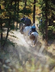 Trail Riding