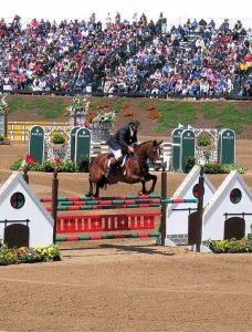 eventing- show jumping phase