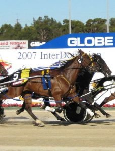 harness racing