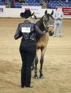 horse showmanship