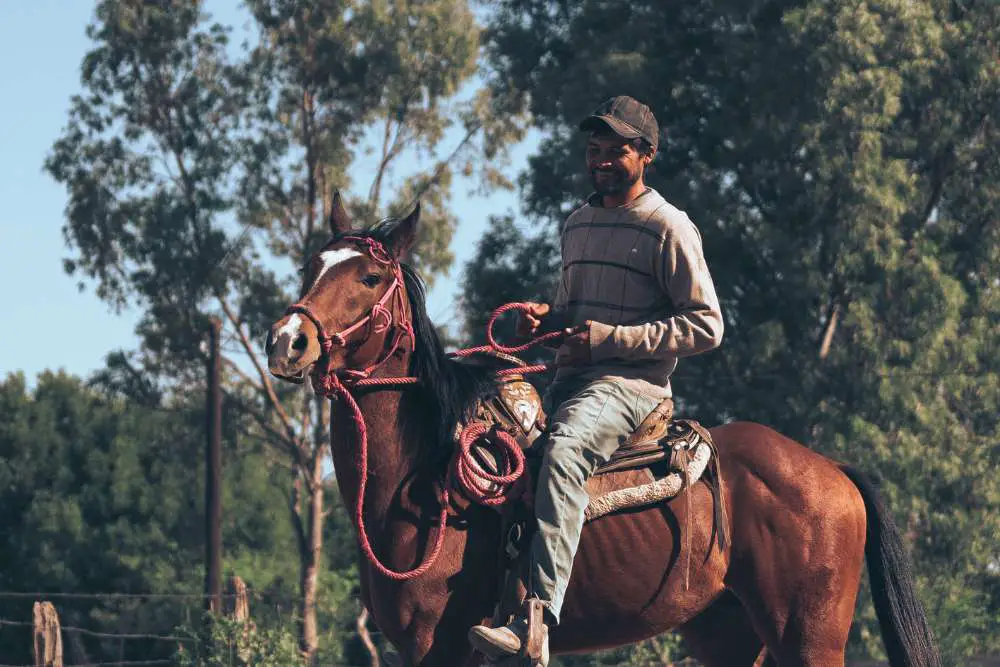 rider too large for horse
