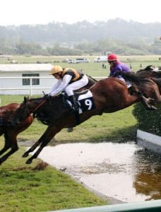 steeplechasing