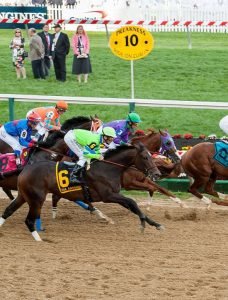 thoroughbred racing