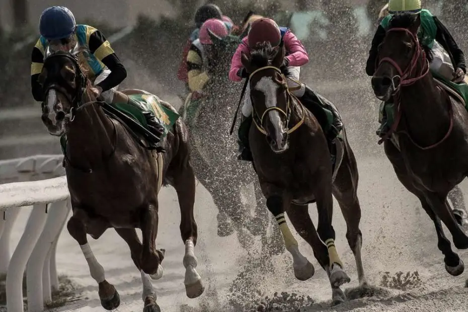 Horseback Riding Weight Limit How Much Can a Horse Carry?