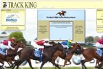 King Riding Game 12 Online Horse Games That Will Keep You Entertained For Hours