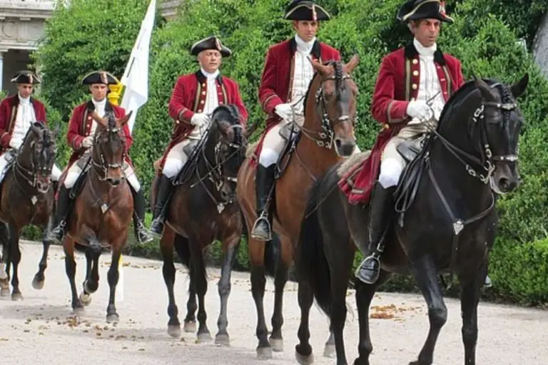 Complete Guide To Baroque Horses The Epitome of Elegance