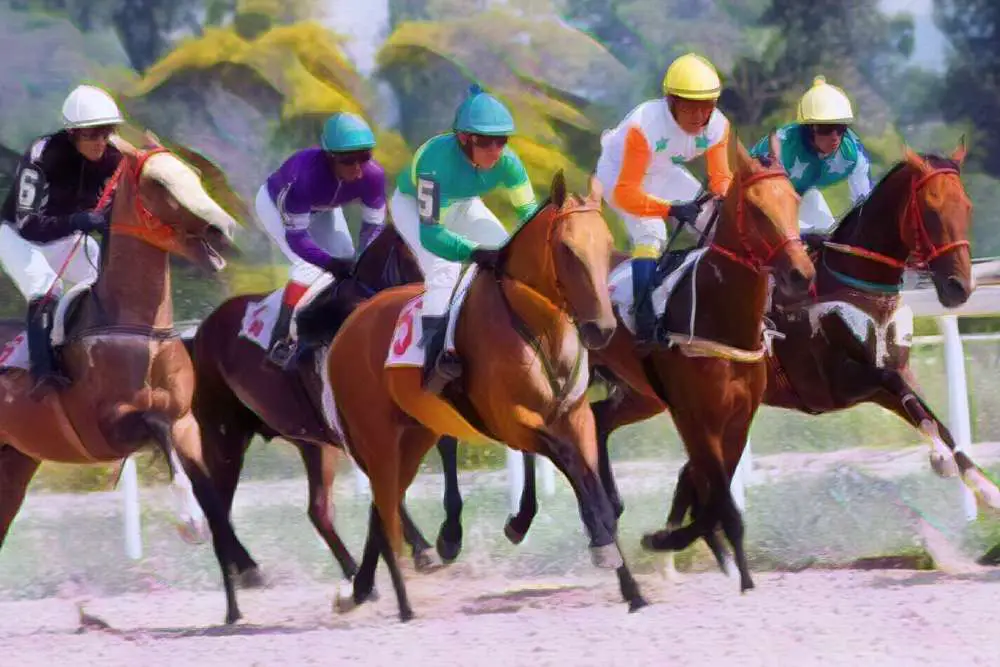 best race horse games