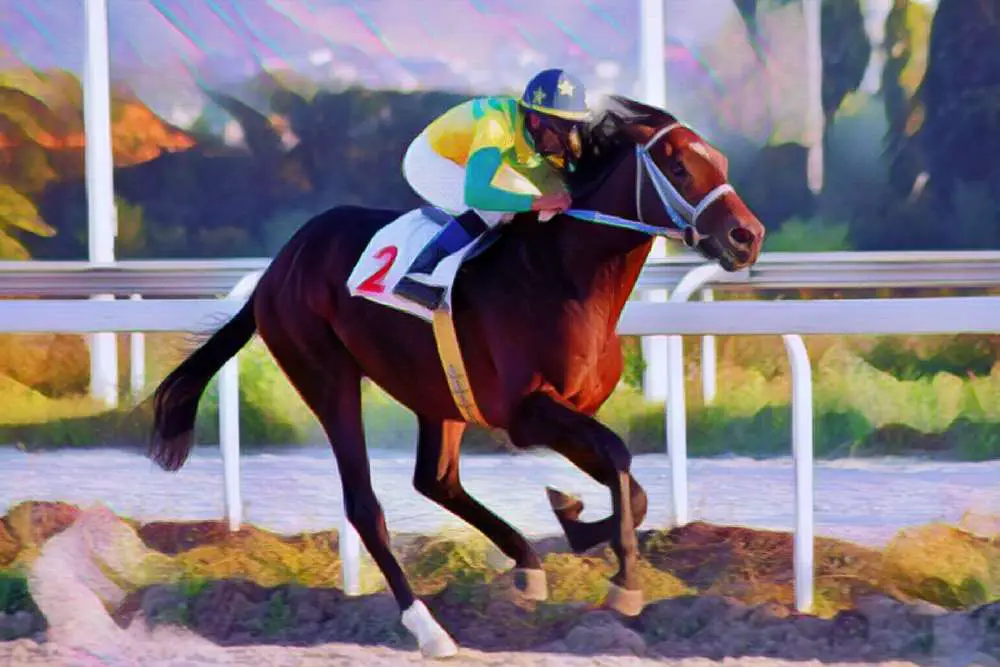 race horse games